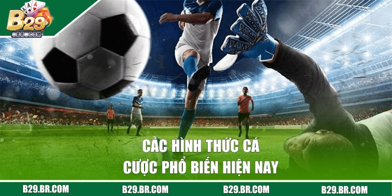 Kèo Rung Là Gì? Chia Sẻ Cách Chơi Cho Người Mới Tại B29 2 Các hình thức cá cược phổ biến hiện nay