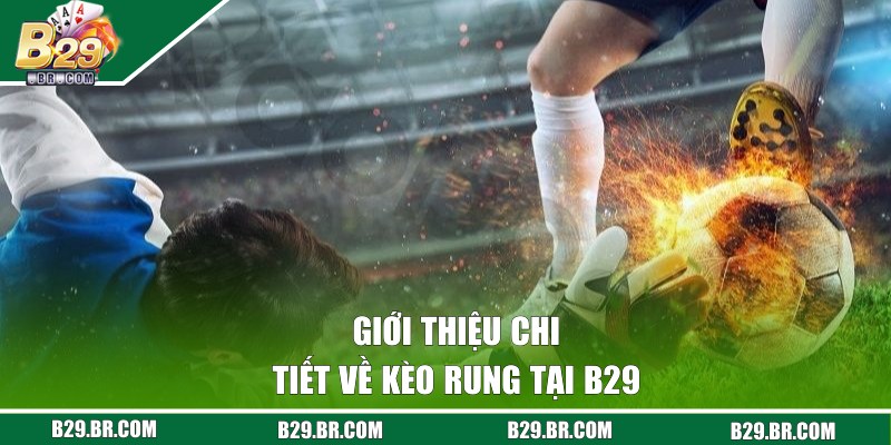 Kèo Rung Là Gì? Chia Sẻ Cách Chơi Cho Người Mới Tại B29 1 Giới thiệu chi tiết về kèo rung tại B29