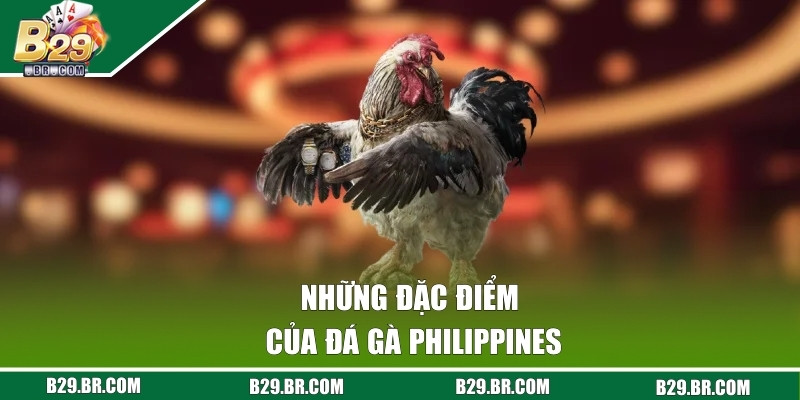 Những đặc điểm của đá gà Philippines