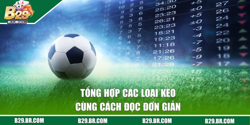Kèo Chấp Handicap | Hướng Dẫn Nhận Diện Và Soi Kèo Thực Tế 2 Tổng hợp các loại kèo cùng cách đọc đơn giản